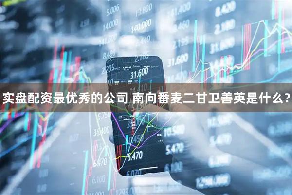 实盘配资最优秀的公司 南向番麦二甘卫善英是什么？