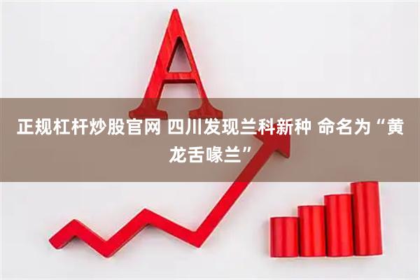 正规杠杆炒股官网 四川发现兰科新种 命名为“黄龙舌喙兰”