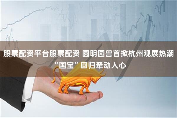 股票配资平台股票配资 圆明园兽首掀杭州观展热潮 “国宝”回归牵动人心